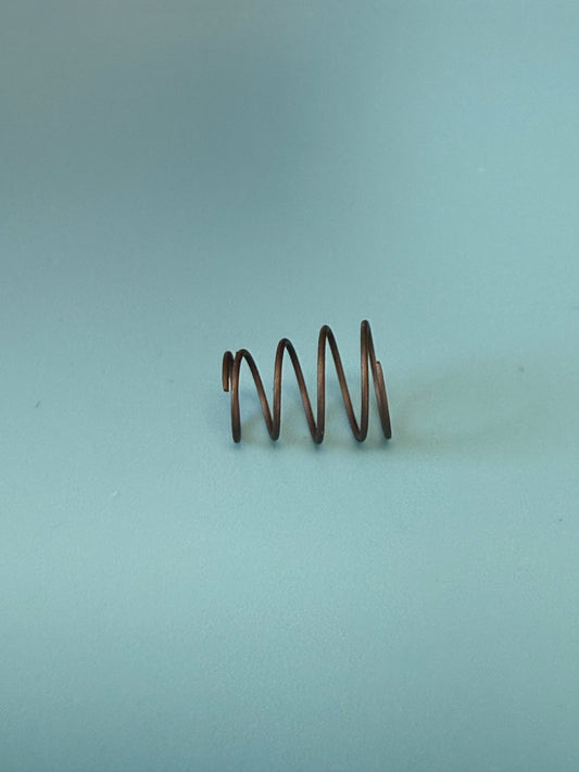 Filter Bypass Spring 11mm- BMW Airhead -11 11 1 250 159