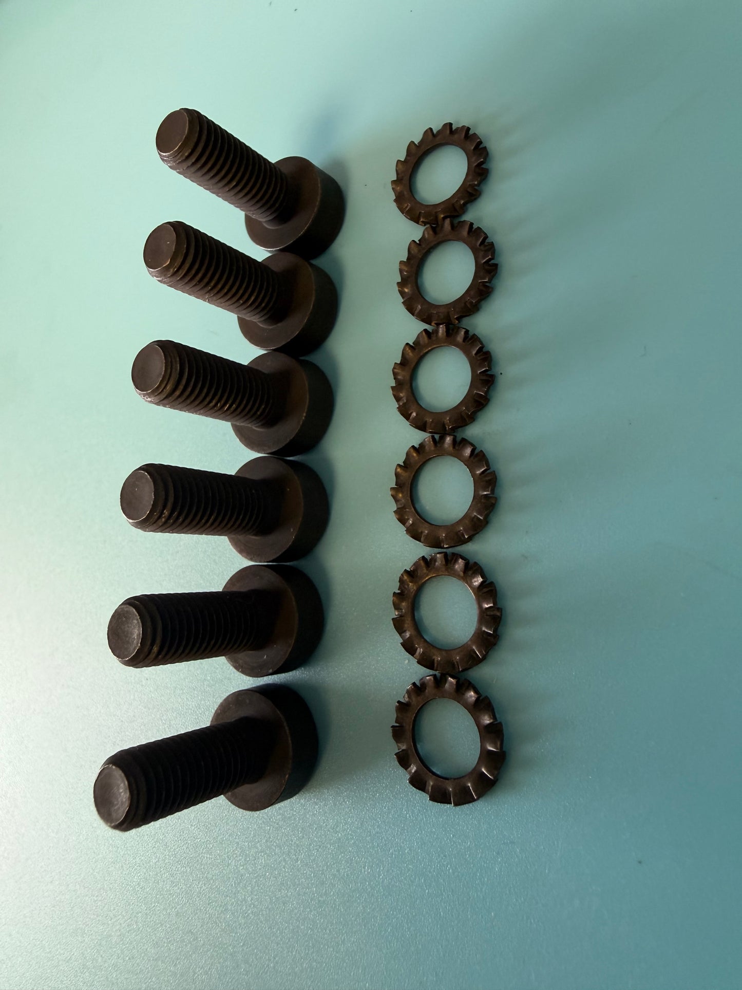 Clutch Bolt and Washer Set of 6 - BMW Airhead 1981-1995 - 21 21 1 338 680